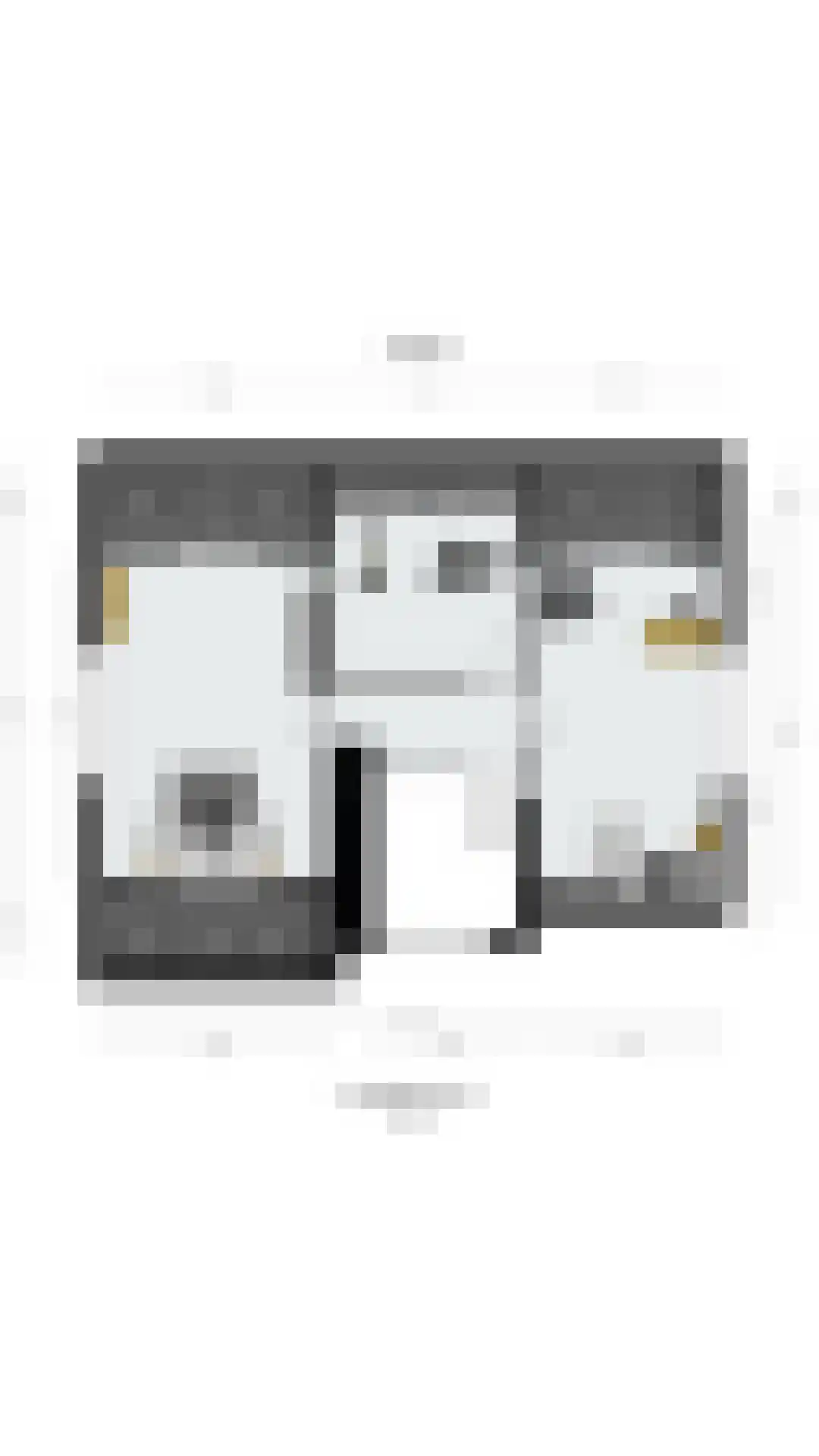 Sint Walburg 1 Zetten thumbnail 41