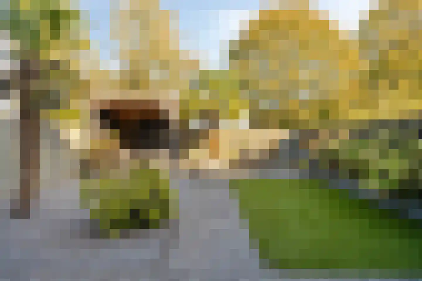 Sint Walfriedstraat 3 St. Willebrord thumbnail 20