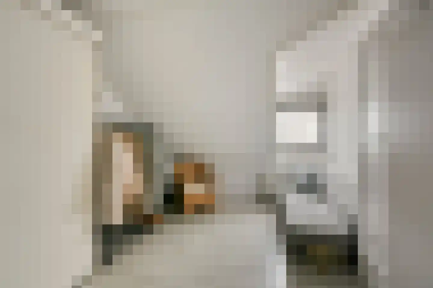 Sint Willebrordstraat 109 Tilburg thumbnail 41