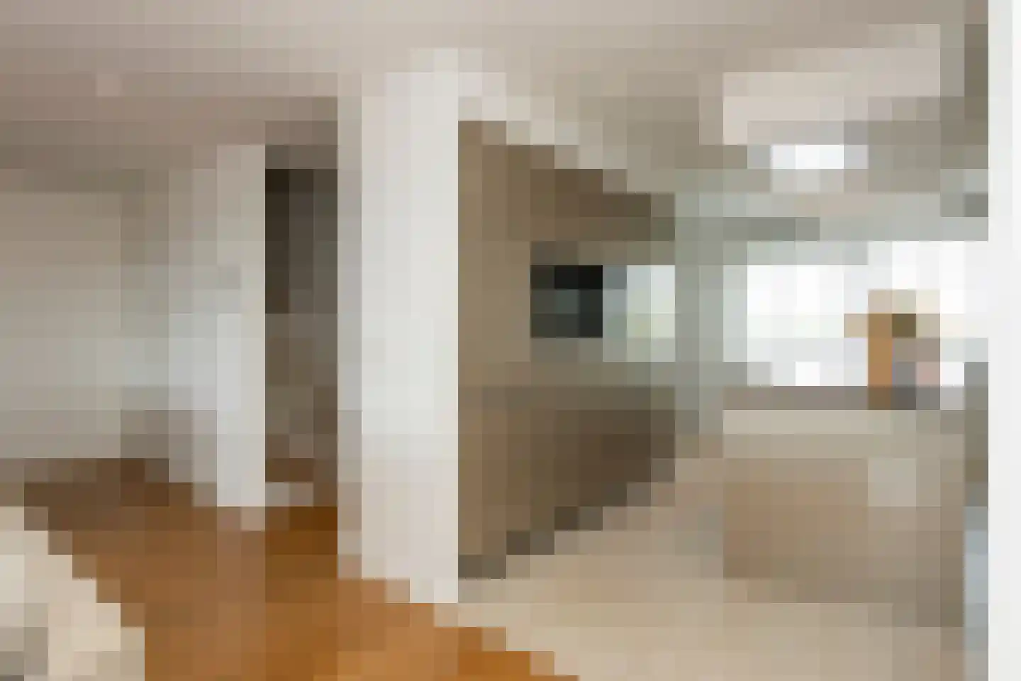 Sint Willebrordstraat 119 Tilburg thumbnail 15