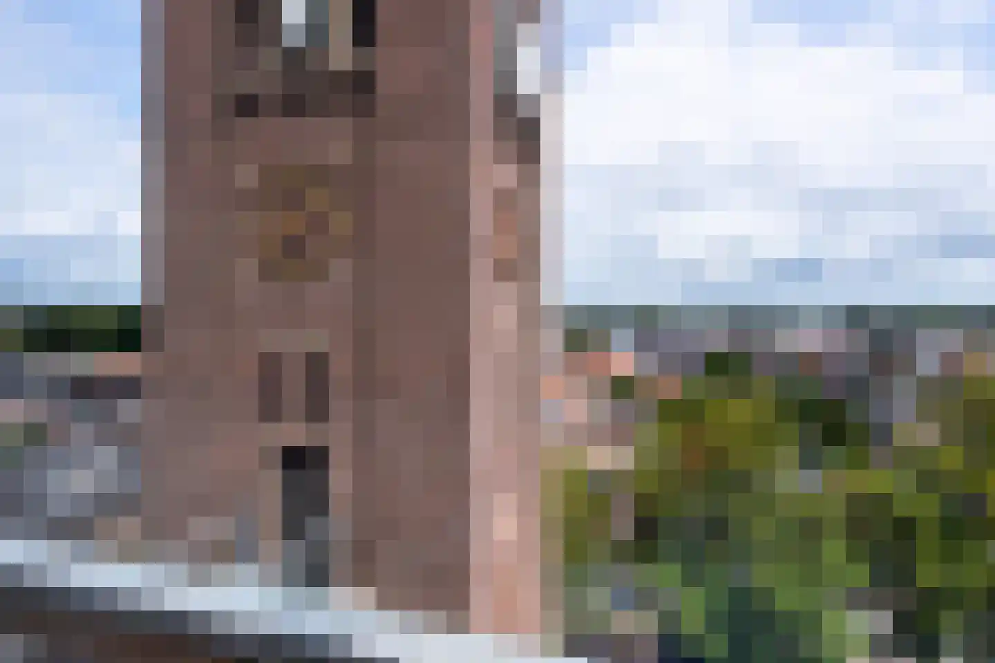 Sint Willebrordstraat 119 Tilburg thumbnail 44