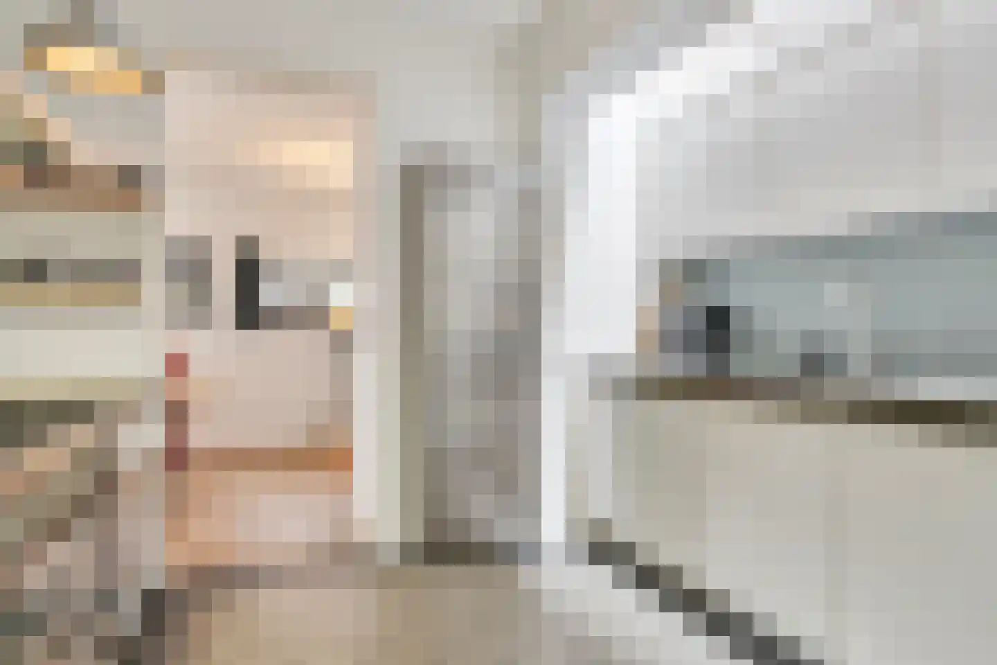 Sint Willebrordstraat 12 Tilburg thumbnail 19