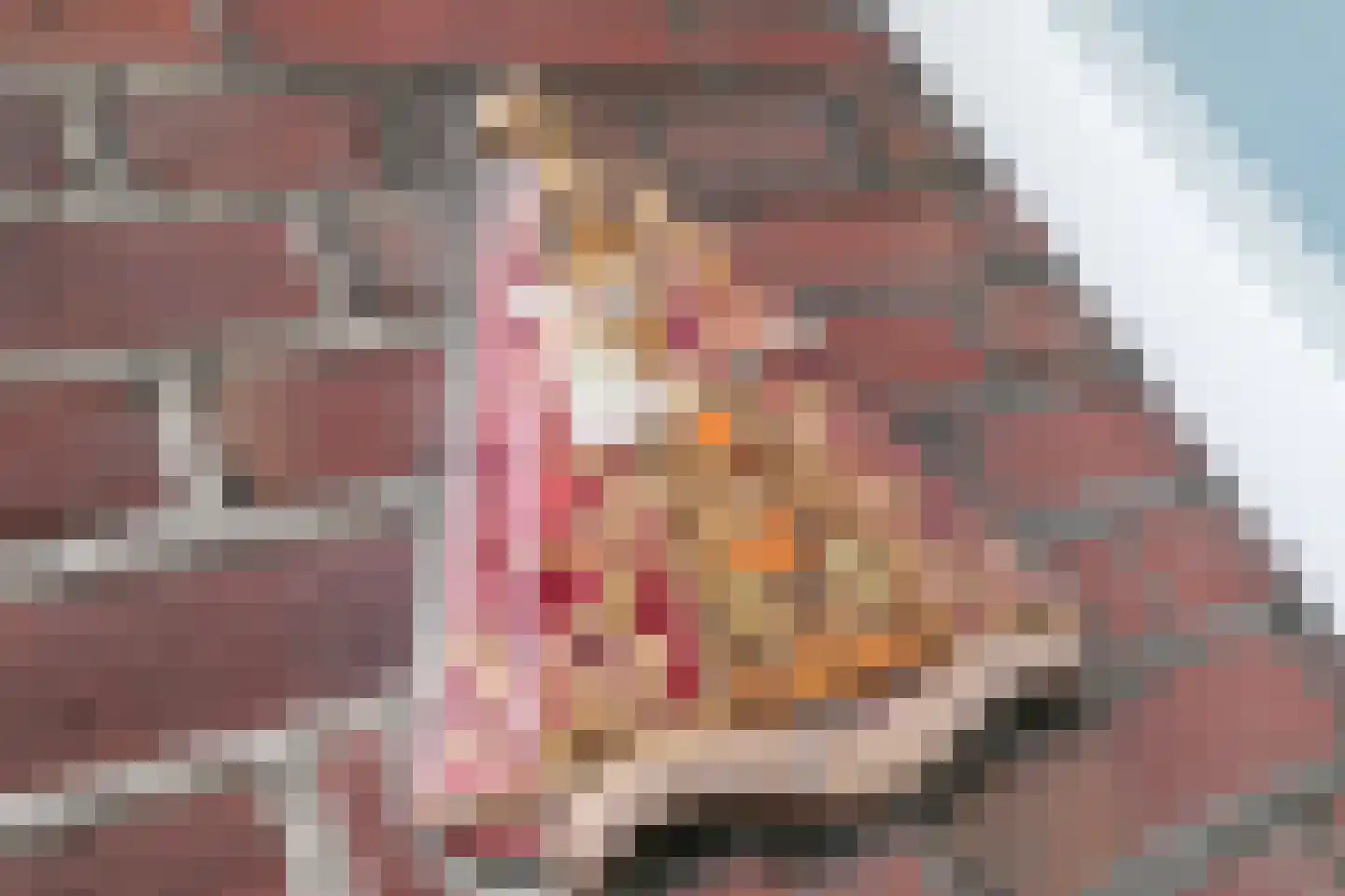 Sint Willebrordstraat 8 Tilburg thumbnail 5
