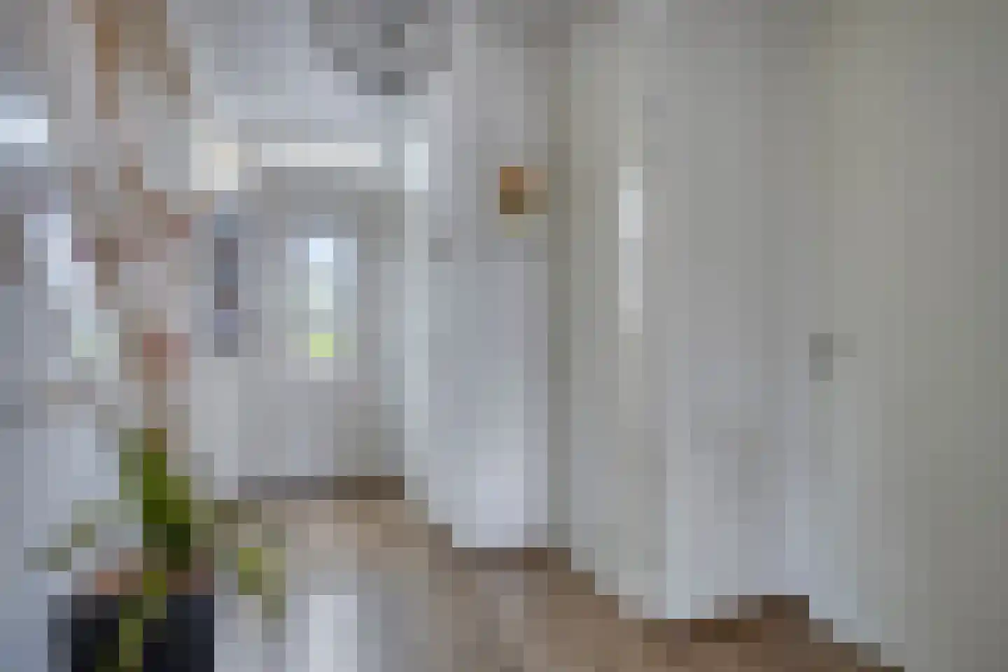 Sint Willibrordstraat 3 0001 Millingen aan de Rijn thumbnail 5