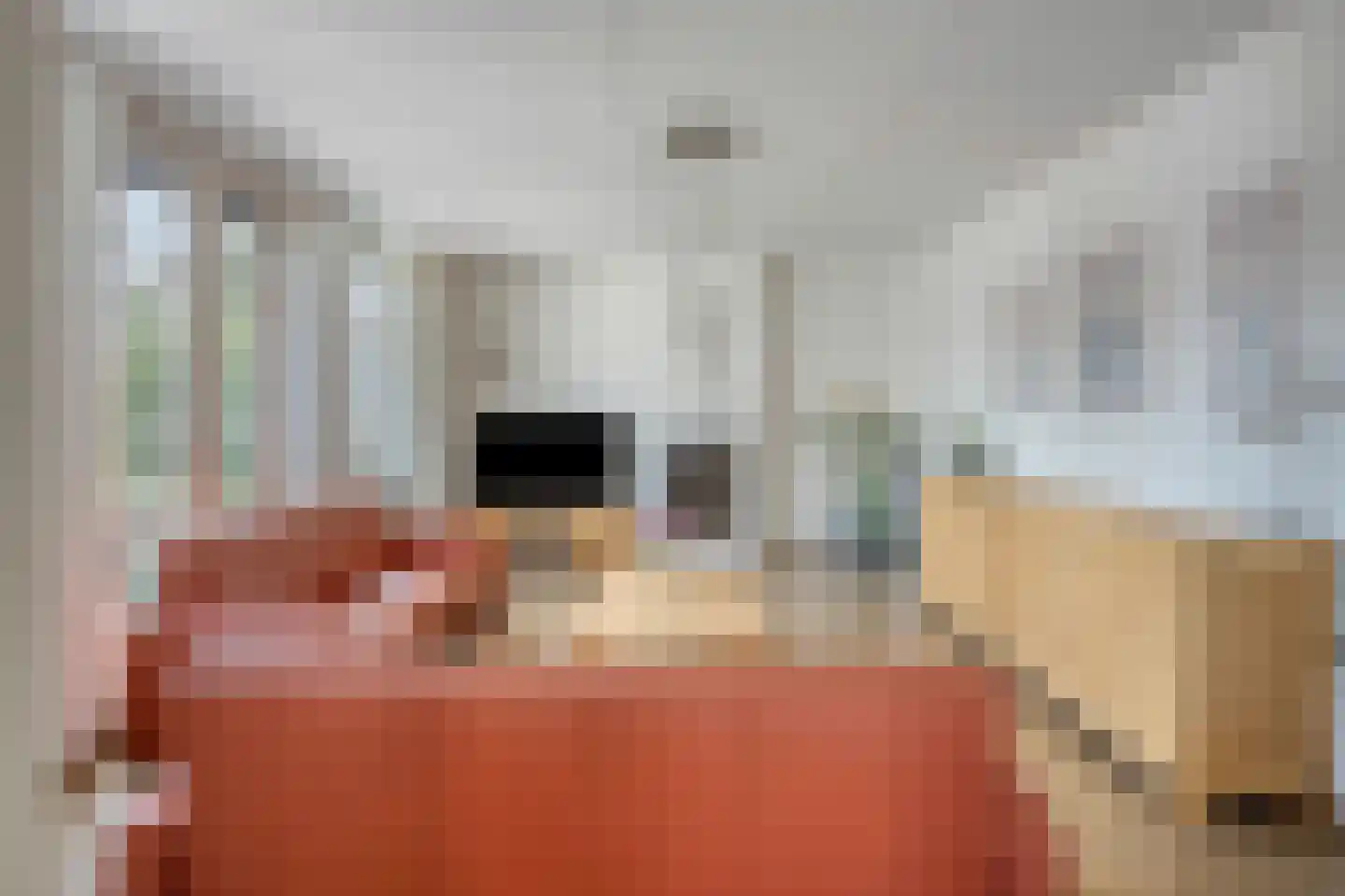 Sint Willibrordstraat 3 0001 Millingen aan de Rijn thumbnail 9