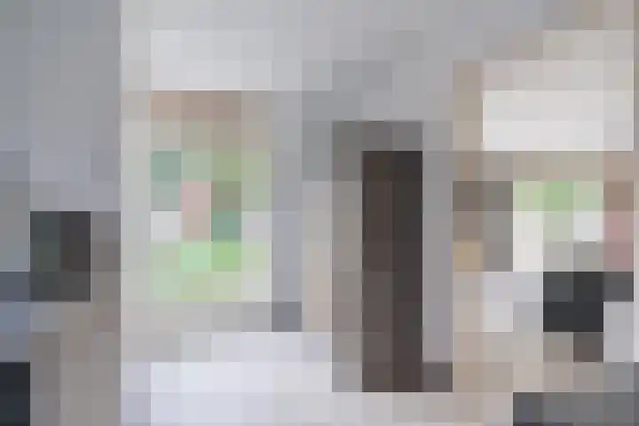 Sint Willibrorduslaan 13 Heeze thumbnail 18