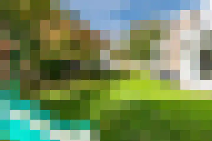 Sint Willibrorduslaan 13 Heeze thumbnail 34