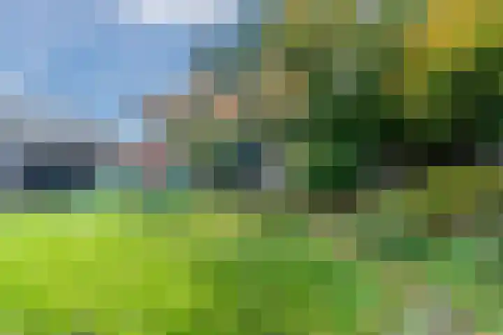 Sint Willibrorduslaan 13 Heeze thumbnail 36