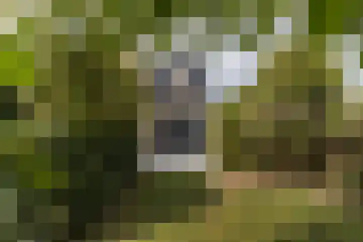 Sint Willibrorduslaan 44 Obbicht thumbnail 47