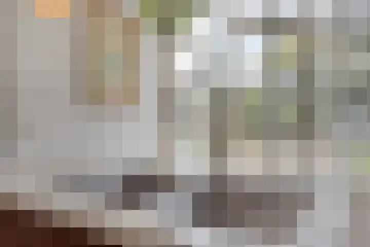 Sint Willibrordusplantsoen 1 Deurne thumbnail 11