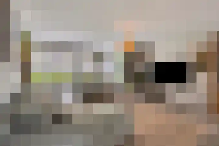 Sint Willibrordusplantsoen 1 Deurne thumbnail 15
