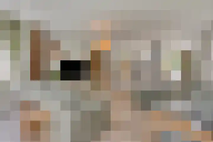 Sint Willibrordusplantsoen 1 Deurne thumbnail 16