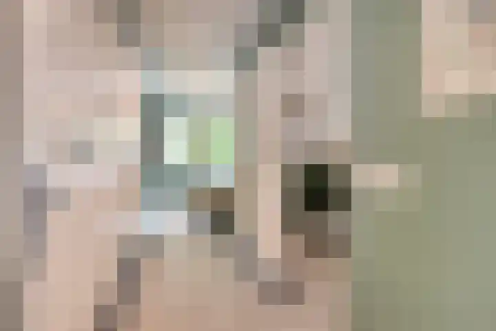 Sint Willibrordusplantsoen 1 Deurne thumbnail 18