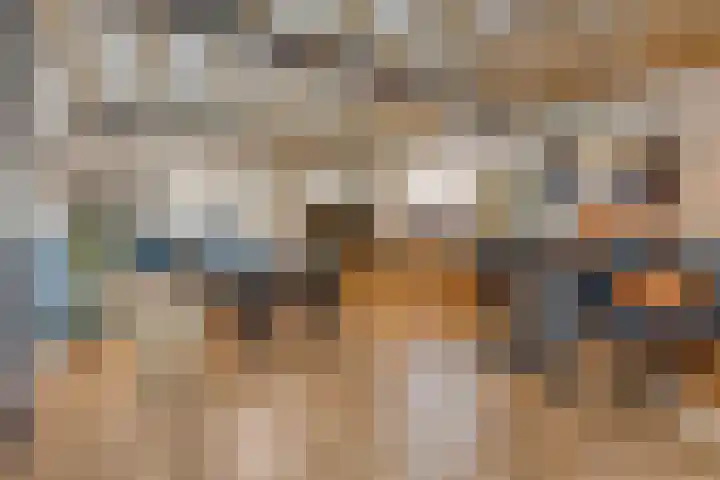 Sint Willibrordusplantsoen 1 Deurne thumbnail 23