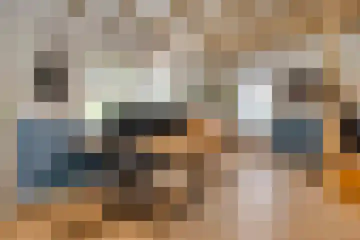 Sint Willibrordusplantsoen 1 Deurne thumbnail 25