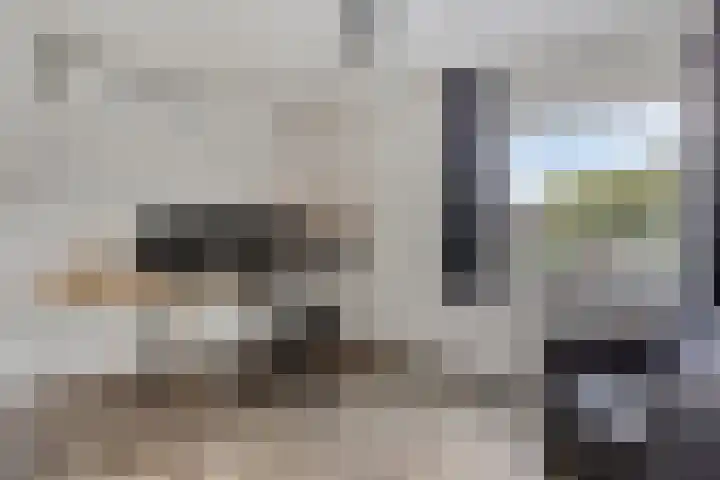 Sint Willibrordusplantsoen 1 Deurne thumbnail 32