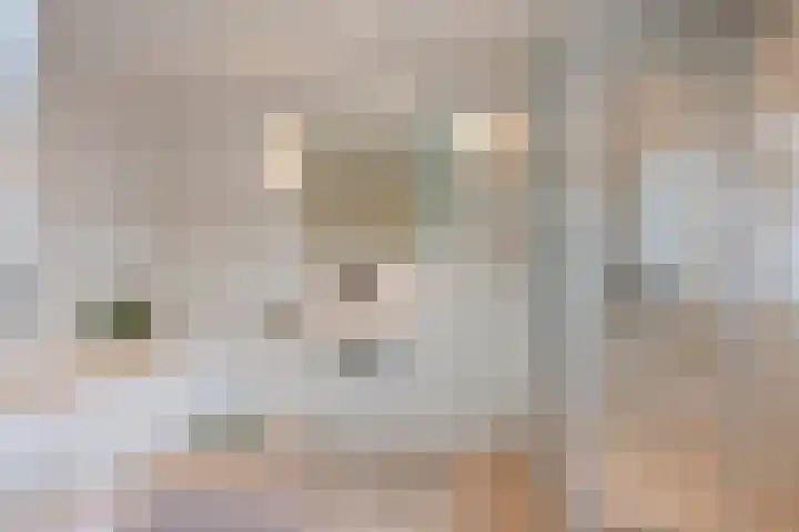 Sint Willibrordusplantsoen 1 Deurne thumbnail 33