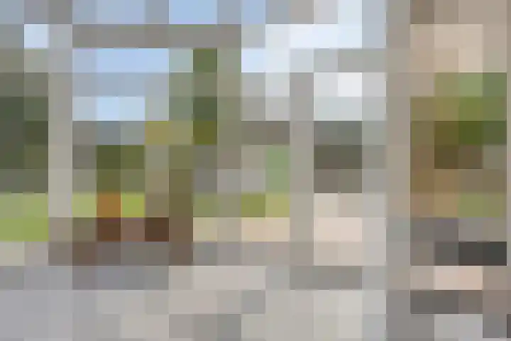 Sint Willibrordusplantsoen 1 Deurne thumbnail 38