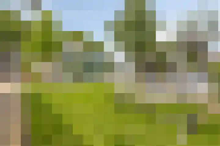 Sint Willibrordusplantsoen 1 Deurne thumbnail 42