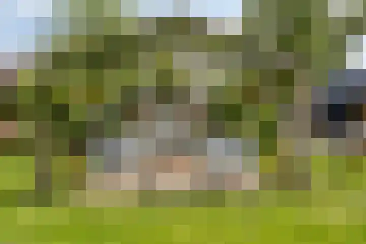 Sint Willibrordusplantsoen 1 Deurne thumbnail 43