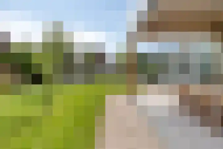 Sint Willibrordusplantsoen 1 Deurne thumbnail 45