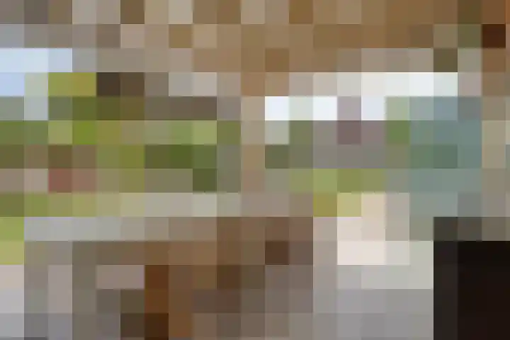 Sint Willibrordusplantsoen 1 Deurne thumbnail 46
