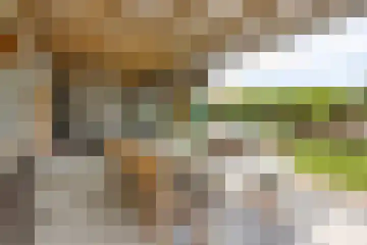 Sint Willibrordusplantsoen 1 Deurne thumbnail 48