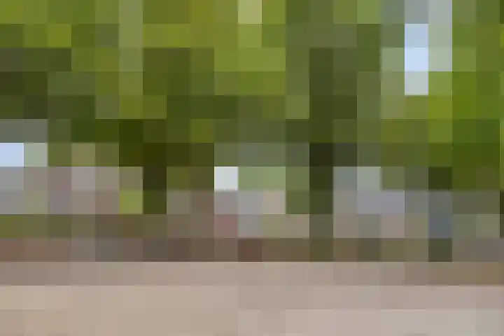 Sint Willibrordusplantsoen 1 Deurne thumbnail 51