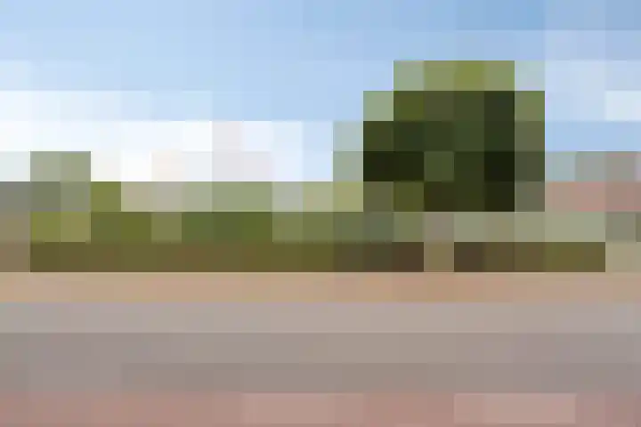 Sint Willibrordusplantsoen 1 Deurne thumbnail 52