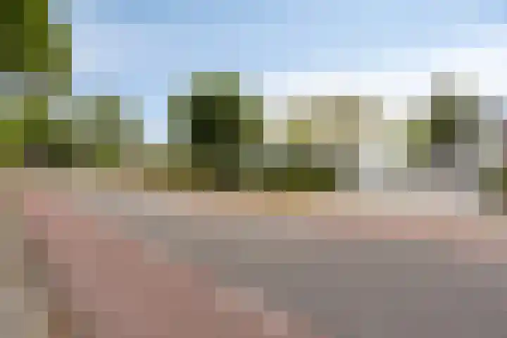 Sint Willibrordusplantsoen 1 Deurne thumbnail 53