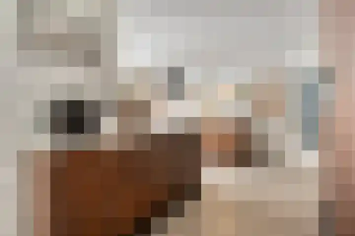 Sint Willibrordusplantsoen 1 Deurne thumbnail 9