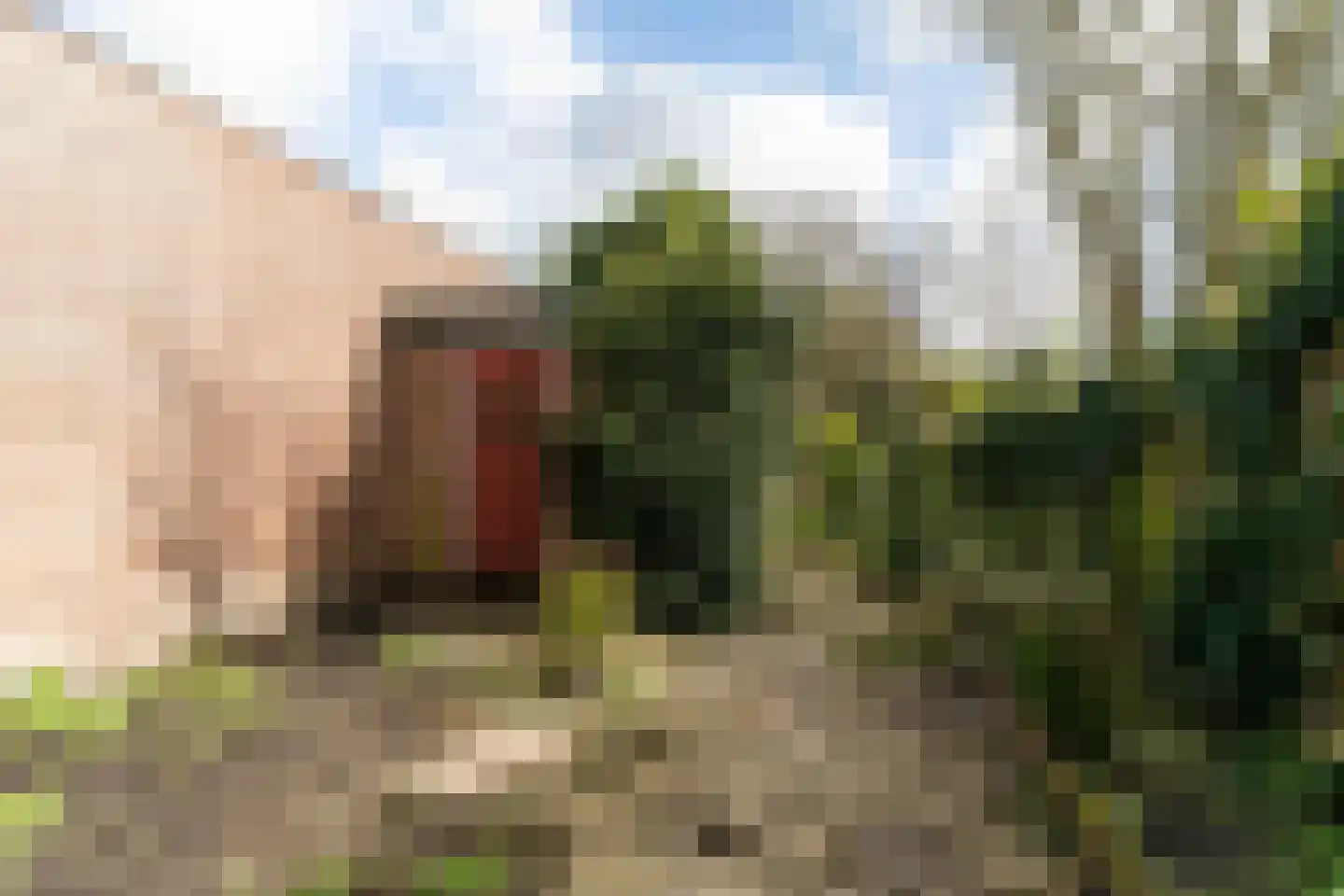 Sint Willibrordusplein 6 Leidschendam thumbnail 19
