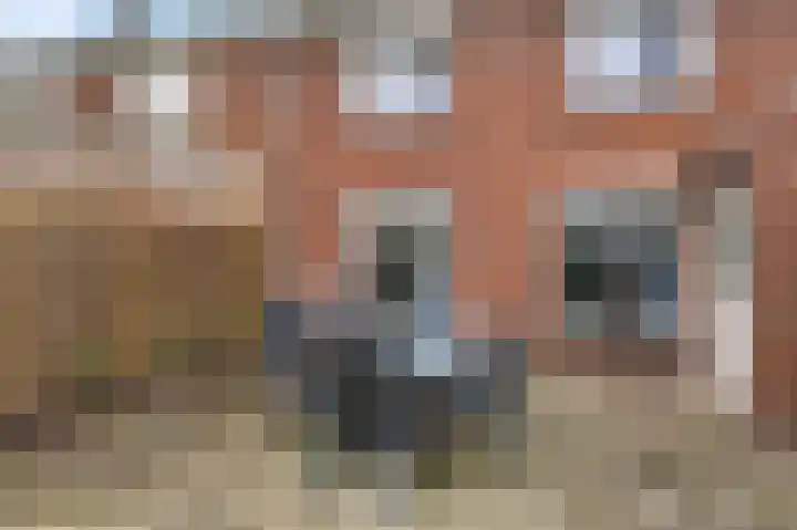 Sint Willibrordusstraat 20 Stramproy thumbnail 39