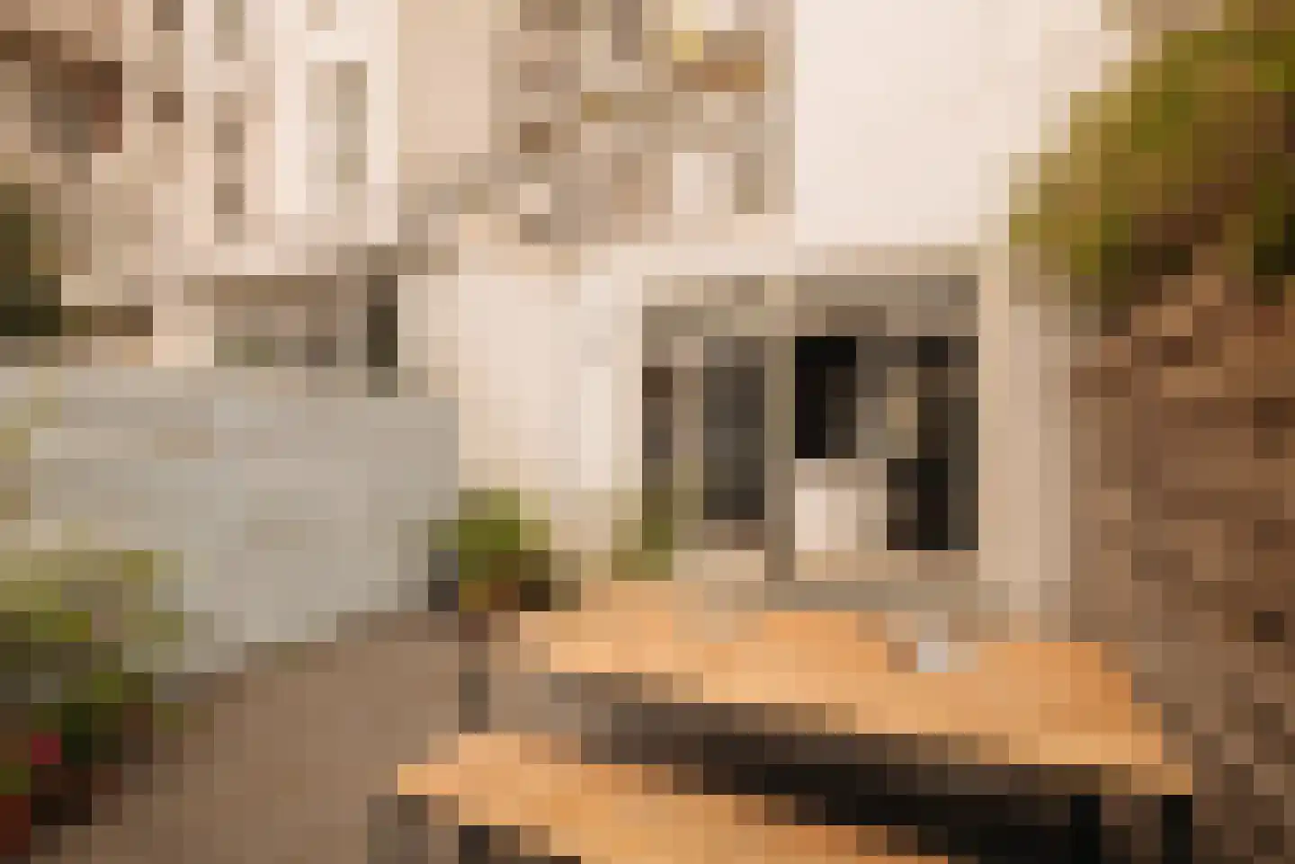 Sint Willibrordusstraat 61 2 Amsterdam thumbnail 15