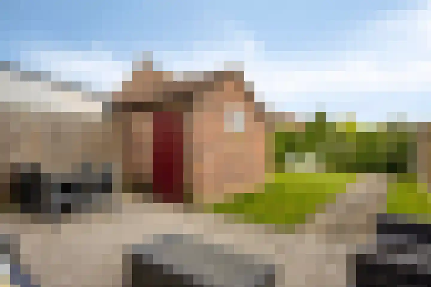 Sint Wirosingel 9 Roermond thumbnail 23