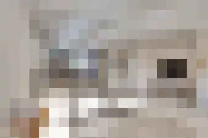 Sinte Barbara's tuin 2 Rijnsburg thumbnail 14