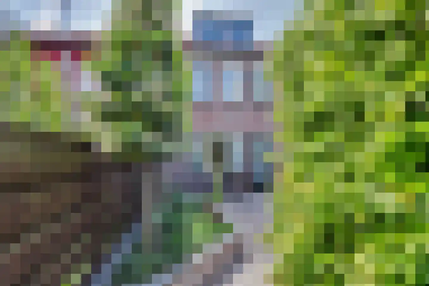 Sinte Barbara's tuin 7 Rijnsburg thumbnail 41