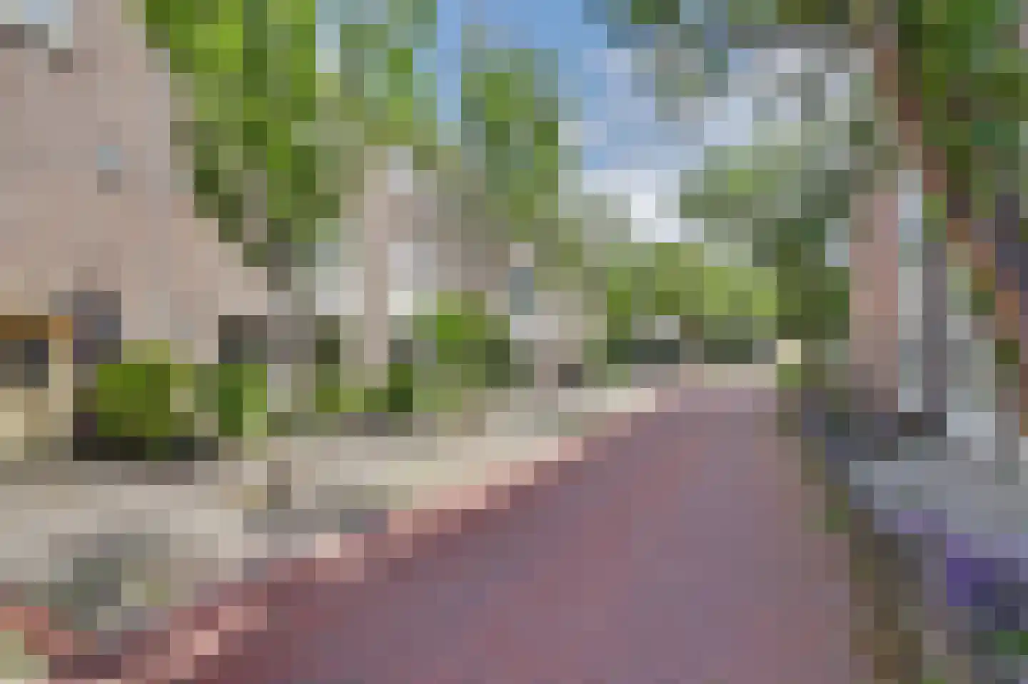 Sinte Barbara's tuin 7 Rijnsburg thumbnail 47