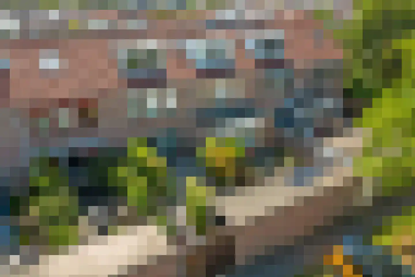 Sinte Barbara's tuin 7 Rijnsburg thumbnail 49