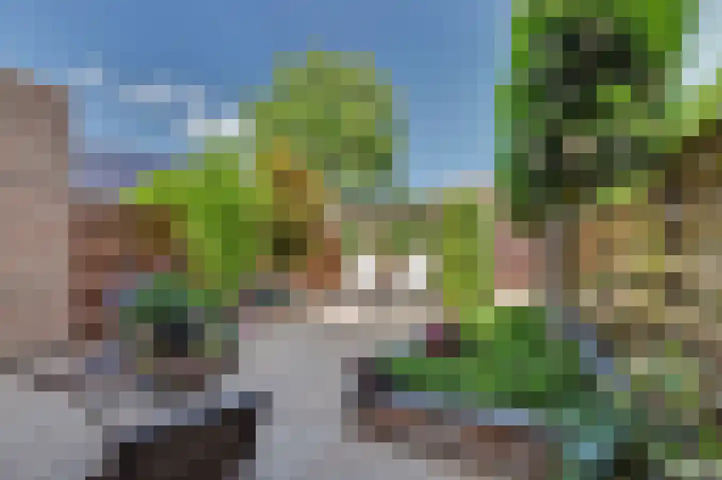 Sinte Barbara's tuin 7 Rijnsburg thumbnail 6