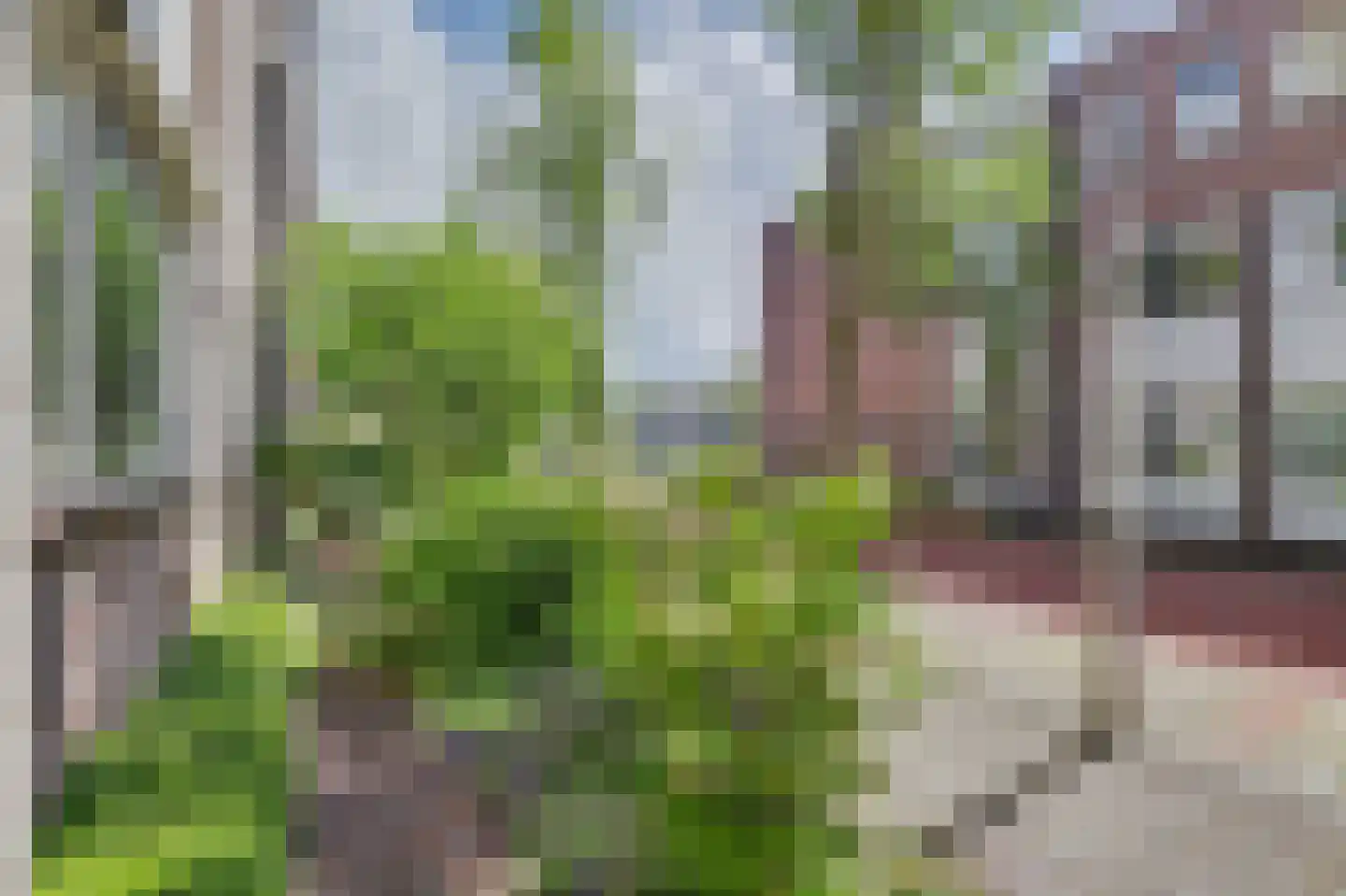 Sinte Barbara's tuin 7 Rijnsburg thumbnail 9
