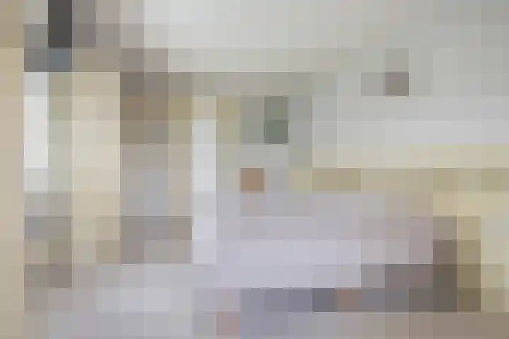 Sinte Catharinadal 2 Willemstad thumbnail 18