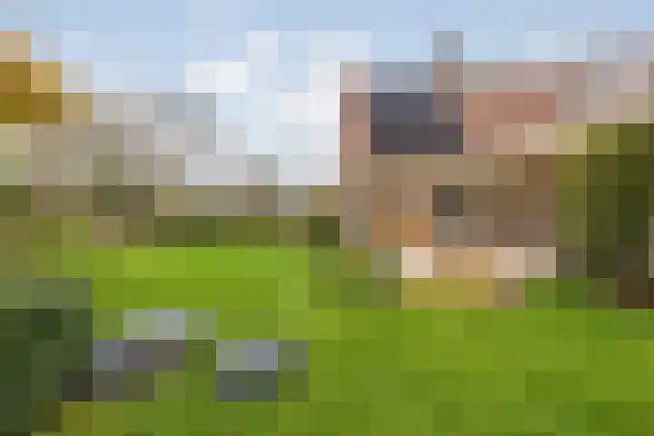 Sinte Catharinadal 2 Willemstad thumbnail 31