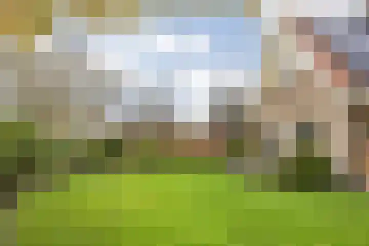 Sinte Catharinadal 2 Willemstad thumbnail 33