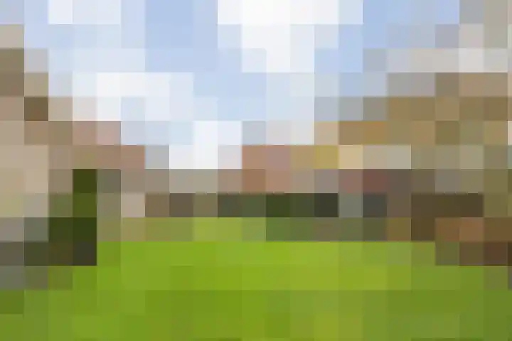 Sinte Catharinadal 2 Willemstad thumbnail 34