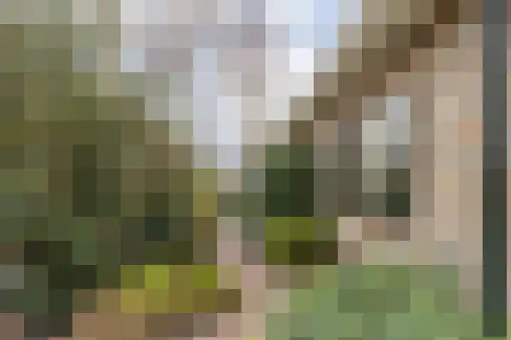 Sinte Catharinadal 2 Willemstad thumbnail 36