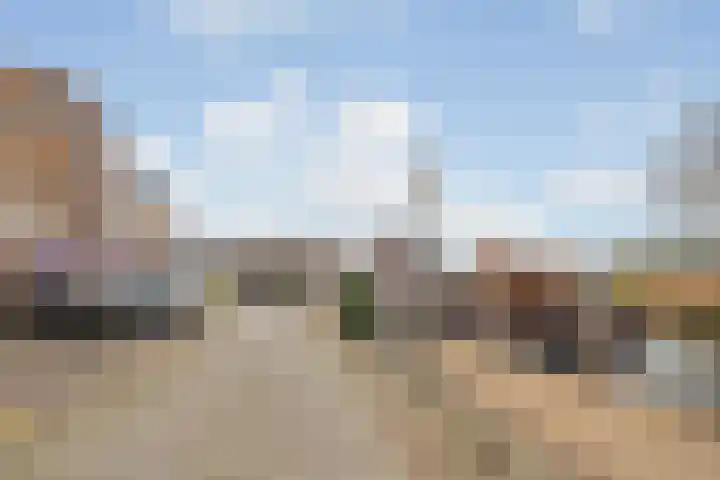 Sinte Catharinadal 2 Willemstad thumbnail 38
