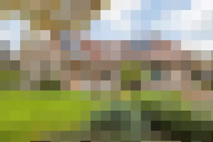 Sinte Catharinadal 2 Willemstad thumbnail 4