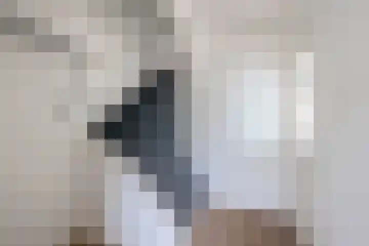 Sinte Lucijweg 24 Steensel thumbnail 11