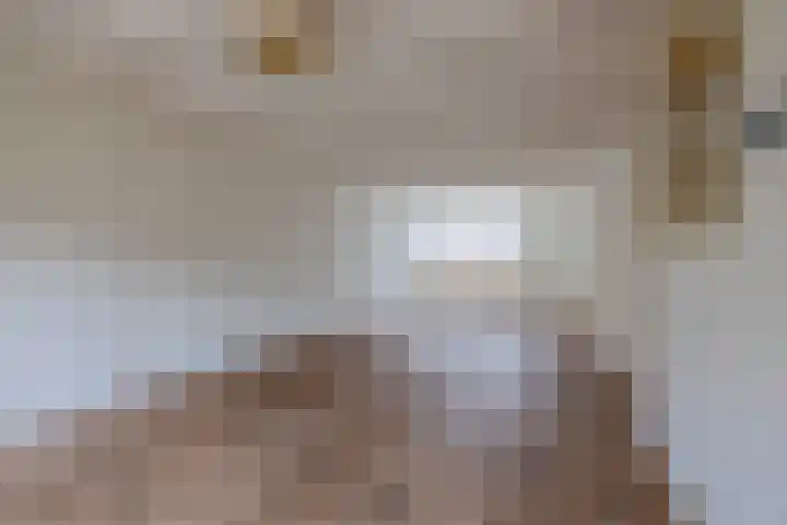 Sinte Lucijweg 24 Steensel thumbnail 16